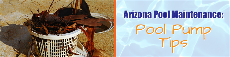 Damage pool basket needing pump repair